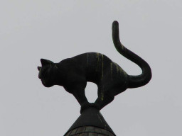 Ryga. czarny kot na szczycie kamienicy - jeden z symboli miasta. 