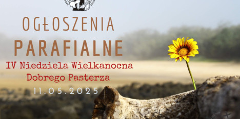 Ogłoszenia na IV Niedzielę Wielkanocy - Dobrego Pasterza - 11. 05. 2025